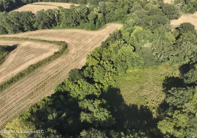 4th image of 1650 Linwood Rd, Vaughan, MS 39179 | MLS# 4159827