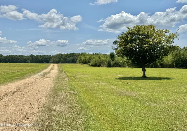 Photo 60 of Single family home for sale at 356 Sw Dry Crk Trl, Bogue Chitto, MS 39629 | MLS# 4159877 | Listing updated on 2026-09-10