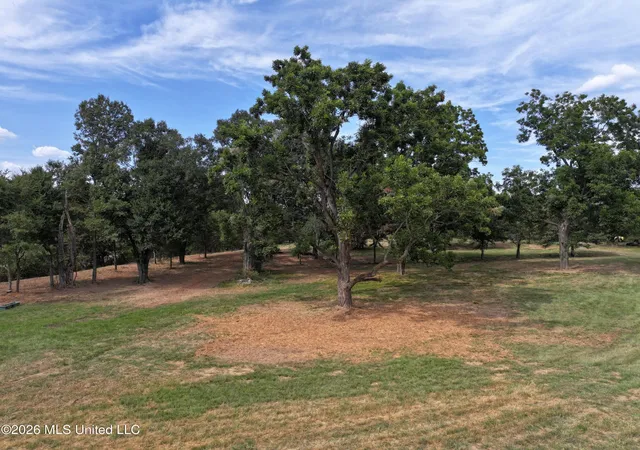 Photo 3 of Land for sale at Lot 1 Wildwood, Clinton, MS 39056 | MLS# 4159846 | Listing updated on 2026-08-20