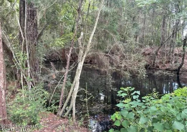 Photo 4 of Land for sale at Robertsdale Rd, Gautier, MS 39553 | MLS# 4159854 | Listing updated on 2026-08-20
