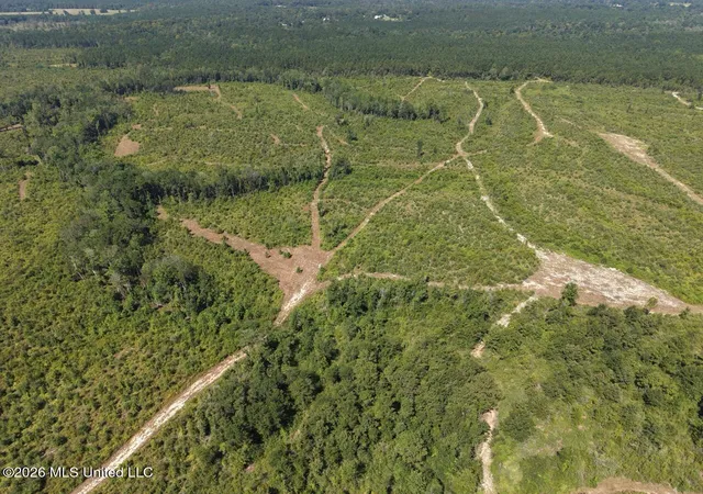Photo 3 of Land for sale at 2 Dewitt Ln, Bogalusa, LA 70427 | MLS# 4159884 | Listing updated on 2026-08-20