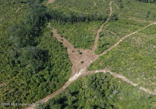 Photo 3 of Land for sale at 2 Dewitt Ln, Bogalusa, LA 70427 | MLS# 4159884 | Listing updated on 2026-08-20