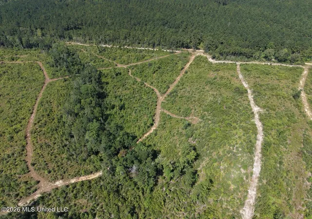 Photo 4 of Land for sale at 2 Dewitt Ln, Bogalusa, LA 70427 | MLS# 4159884 | Listing updated on 2026-08-20