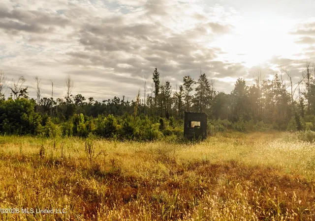 Photo 2 of Land for sale at Mississippi 35, Vaiden, MS 39176 | MLS# 4159904 | Listing updated on 2026-08-20