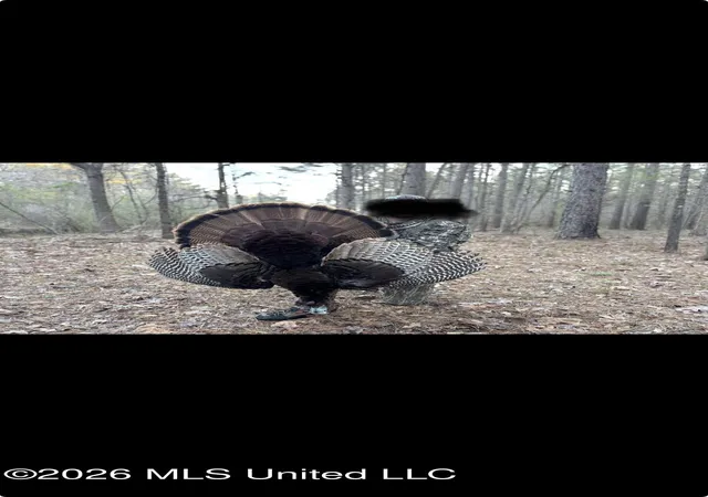 Photo 3 of Land for sale at Mississippi 35, Vaiden, MS 39176 | MLS# 4159904 | Listing updated on 2026-08-20