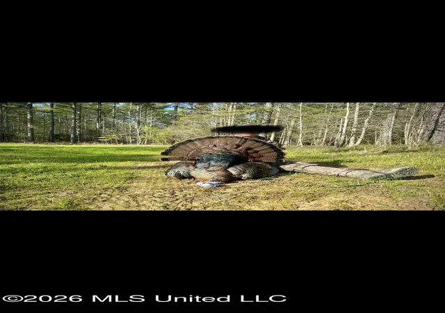 Photo 3 of Land for sale at Mississippi 35, Vaiden, MS 39176 | MLS# 4159904 | Listing updated on 2026-08-20