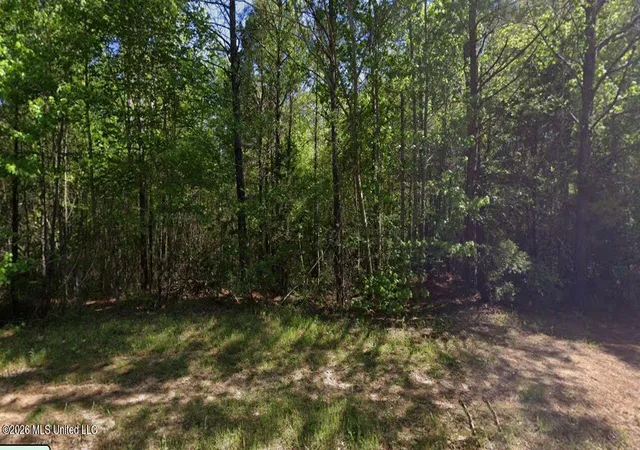 Photo 2 of Land for sale at O Leary Rd, Camden, MS 39045 | MLS# 4160062 | Listing updated on 2026-08-21
