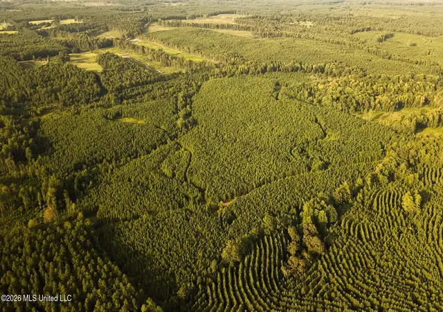 Photo 1 of Land for sale at Co Rd 4300, Union, MS 39365 | MLS# 4160200 | Listing updated on 2026-08-24