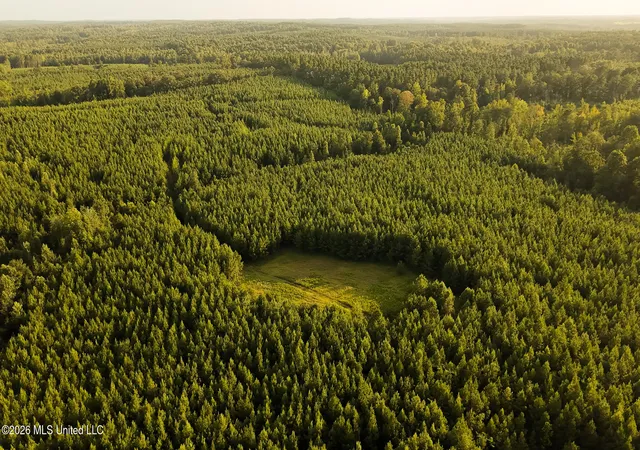 Photo 3 of Land for sale at Co Rd 4300, Union, MS 39365 | MLS# 4160200 | Listing updated on 2026-08-24