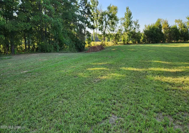 2nd image of 0 Country Church Rd, Lamar, MS 38642 | MLS# 4159936