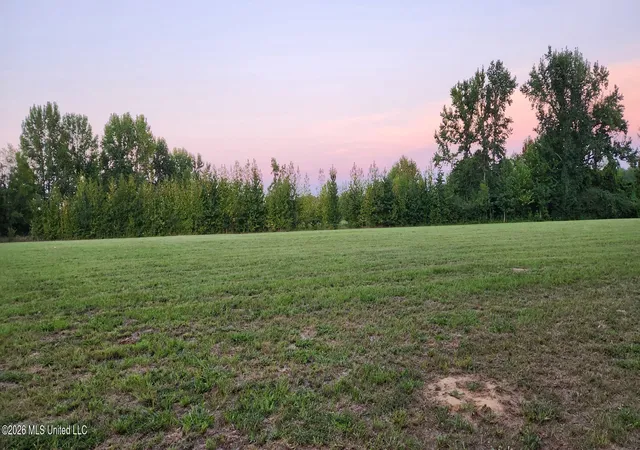 9th image of 0 Country Church Rd, Lamar, MS 38642 | MLS# 4159936