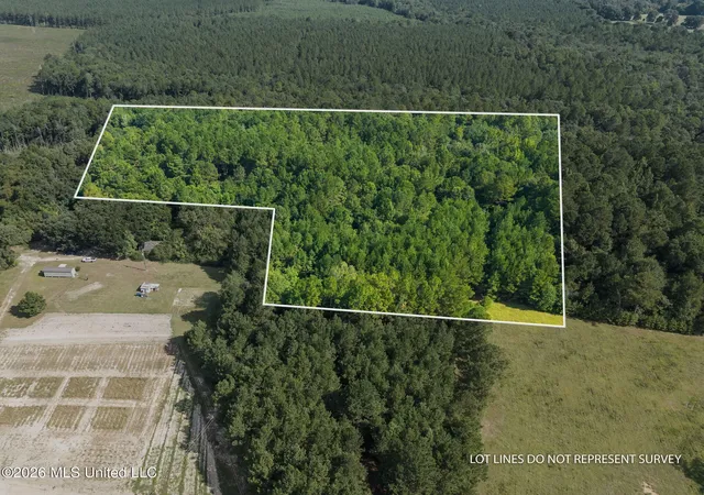 Land for sale at 0 Big Hill, Lumberton, MS 39455 | MLS# 4160102