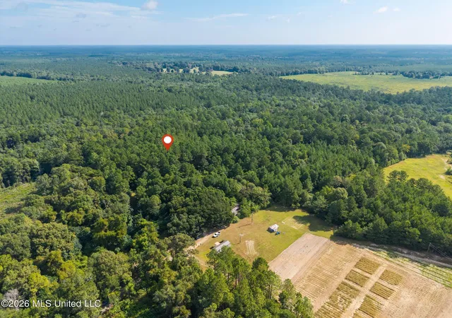 Photo 2 of Land for sale at 0 Big Hill, Lumberton, MS 39455 | MLS# 4160102 | Listing updated on 2026-08-22