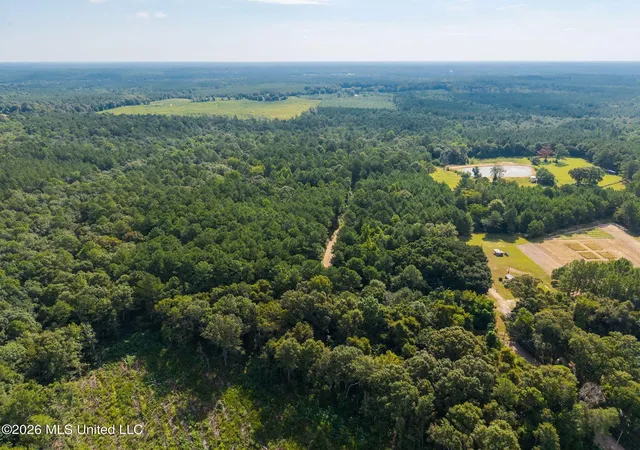 Photo 3 of Land for sale at 0 Big Hill, Lumberton, MS 39455 | MLS# 4160102 | Listing updated on 2026-08-22