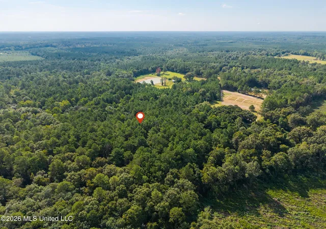 Photo 3 of Land for sale at 0 Big Hill, Lumberton, MS 39455 | MLS# 4160102 | Listing updated on 2026-08-22