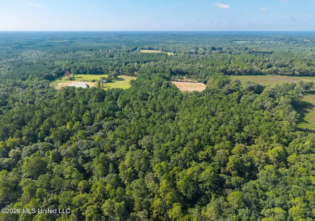 Photo 4 of Land for sale at 0 Big Hill, Lumberton, MS 39455 | MLS# 4160102 | Listing updated on 2026-08-22