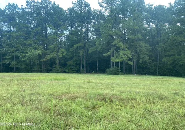 2nd image of 4 E Bond Rd, Wiggins, MS 39577 | MLS# 4159952