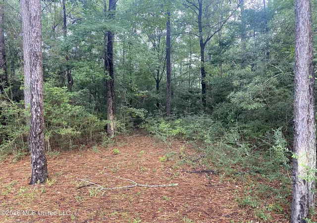 4th image of 4 E Bond Rd, Wiggins, MS 39577 | MLS# 4159952