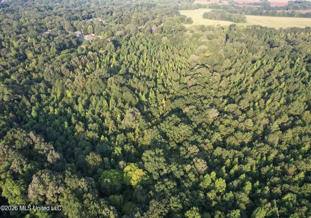 Photo 3 of Land for sale at 3573 N Liberty St, Canton, MS 39046 | MLS# 4159967 | Listing updated on 2026-08-21