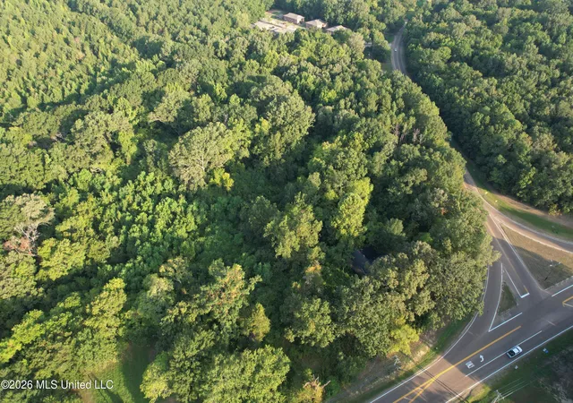 Photo 4 of Land for sale at 3591 US 51, Canton, MS 39046 | MLS# 4159971 | Listing updated on 2026-08-21