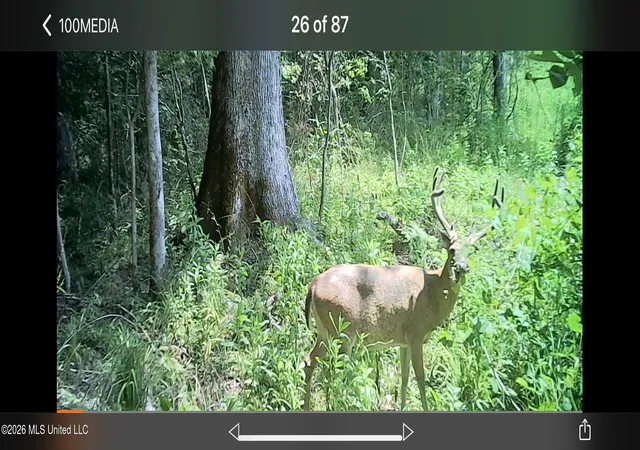 Photo 1 of Sale Pending at 2490 S Shady Grove Rd, Goodman, MS 39079 | MLS# 4159996 | Listing updated on 2026-09-08
