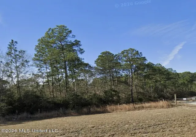 Photo 3 of Land for sale at 29 Acres Hwy 15, Saucier, MS 39574 | MLS# 4159977 | Listing updated on 2026-08-21
