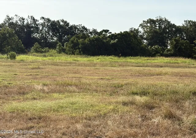 Photo 4 of Land for sale at 701 Memorial Dr, Cleveland, MS 38732 | MLS# 4160022 | Listing updated on 2026-08-21