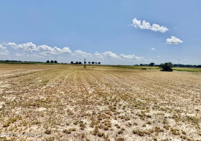 Photo 3 of Land for sale at Hwy 8, Cleveland, MS 38732 | MLS# 4160320 | Listing updated on 2026-08-25