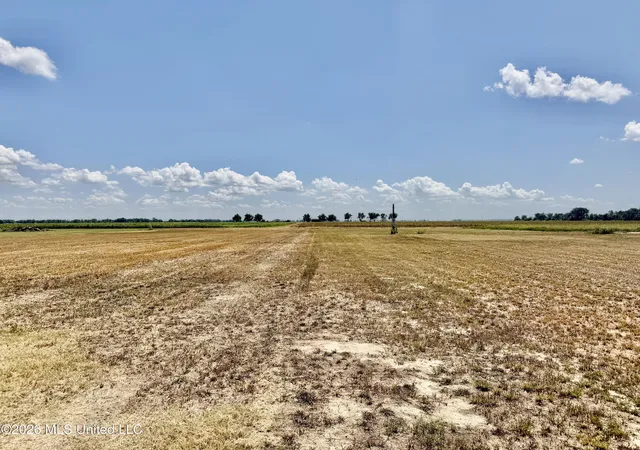 Photo 4 of Land for sale at Hwy 8, Cleveland, MS 38732 | MLS# 4160320 | Listing updated on 2026-08-25