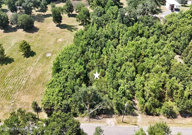 Photo 4 of Land for sale at 134 Julia St, Bay Saint Louis, MS 39520 | MLS# 4160469 | Listing updated on 2026-08-26