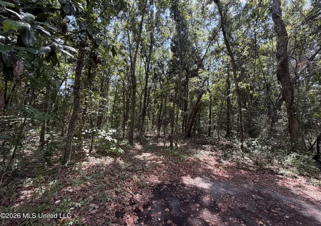 Land for sale at Brumbaugh Rd, Ocean Springs, MS 39564 | MLS# 4160132