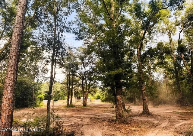 Photo 4 of Sale Pending at 17185 Carnation St, Kiln, MS 39556 | MLS# 4160046 | Listing updated on 2026-09-13