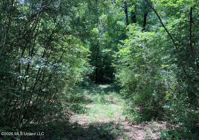 Photo 1 of Land for sale at Ms 48, Tylertown, MS 39667 | MLS# 4160055 | Listing updated on 2026-08-21