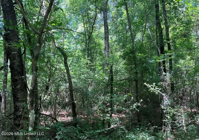 Photo 2 of Land for sale at Ms 48, Tylertown, MS 39667 | MLS# 4160055 | Listing updated on 2026-08-21