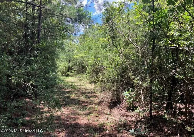 Photo 2 of Land for sale at Ms-48, Tylertown, MS 39667 | MLS# 4160055 | Listing updated on 2026-08-21