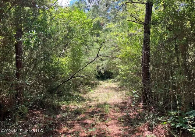 Photo 3 of Land for sale at Ms-48, Tylertown, MS 39667 | MLS# 4160055 | Listing updated on 2026-08-21