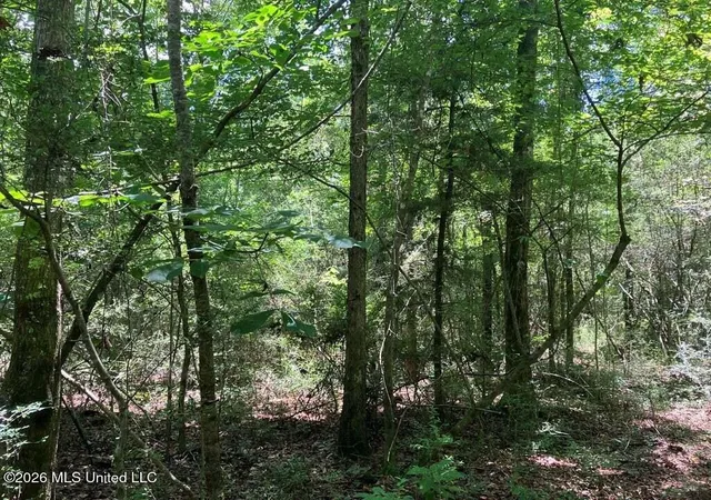 Photo 4 of Land for sale at Ms-48, Tylertown, MS 39667 | MLS# 4160055 | Listing updated on 2026-08-21