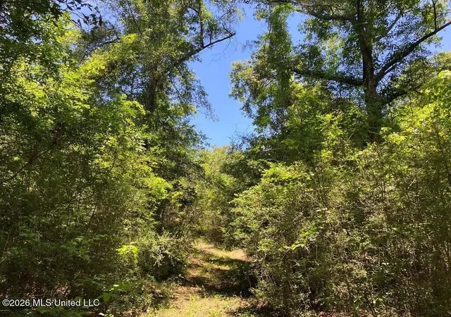 Photo 7 of Land for sale at Ms 48, Tylertown, MS 39667 | MLS# 4160055 | Listing updated on 2026-08-21