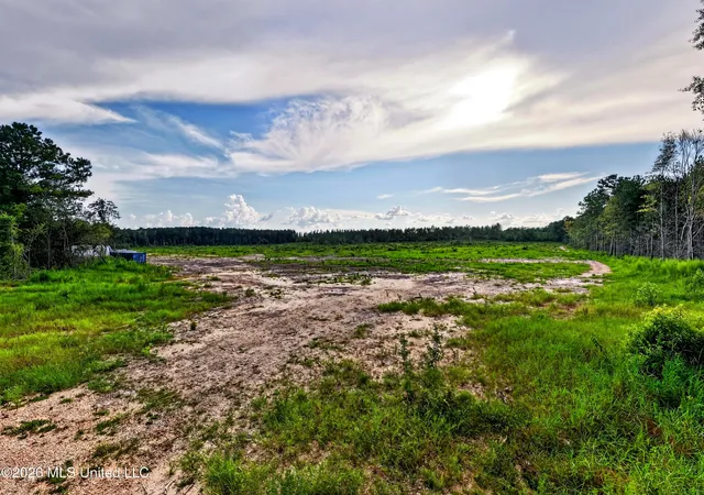 Photo 3 of Land for sale at 48 Ellis Hart Rd, Poplarville, MS 39470 | MLS# 4160089 | Listing updated on 2026-08-22