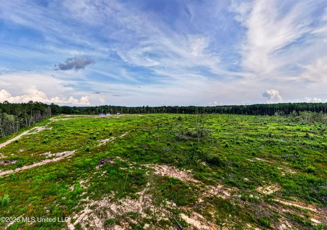 Photo 4 of Land for sale at 48 Ellis Hart Rd, Poplarville, MS 39470 | MLS# 4160089 | Listing updated on 2026-08-22
