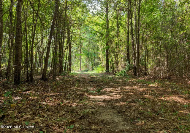 Land for sale at Harvey Rd, Carthage, MS 39051 | MLS# 4160114