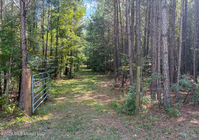 Photo 2 of Land for sale at Harvey Rd, Carthage, MS 39051 | MLS# 4160114 | Listing updated on 2026-08-22