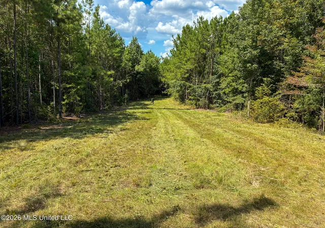 Photo 3 of Land for sale at Harvey Rd, Carthage, MS 39051 | MLS# 4160114 | Listing updated on 2026-08-22