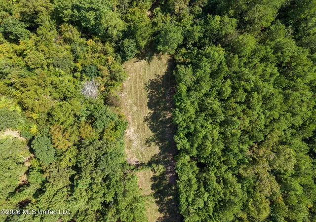 Photo 3 of Land for sale at Harvey Rd, Carthage, MS 39051 | MLS# 4160114 | Listing updated on 2026-08-22
