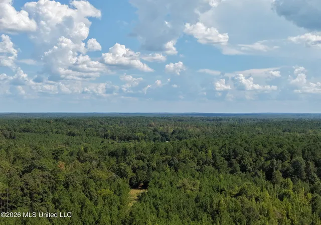 Photo 4 of Land for sale at Harvey Rd, Carthage, MS 39051 | MLS# 4160114 | Listing updated on 2026-08-22