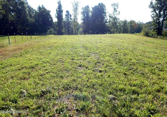 Photo 3 of Land for sale at 400 Arkabutla Dam Rd, Coldwater, MS 38618 | MLS# 4160120 | Listing updated on 2026-08-23