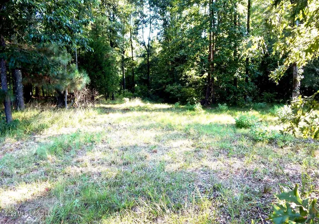 Photo 4 of Land for sale at 400 Arkabutla Dam Rd, Coldwater, MS 38618 | MLS# 4160120 | Listing updated on 2026-08-23