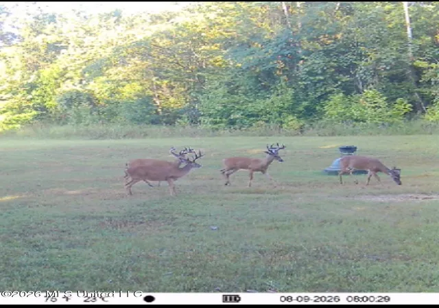 4th image of Myrleville Rd, Yazoo City, MS 39194 | MLS# 4160133