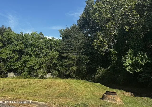 Photo 1 of Land for sale at Lot 40 Briar Creek Cir, Laurel, MS 39440 | MLS# 4160138 | Listing updated on 2026-08-22