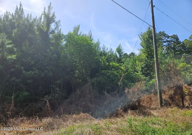 Photo 1 of Land for sale at Log Cabin Rd, Roxie, MS 39661 | MLS# 4160220 | Listing updated on 2026-08-24